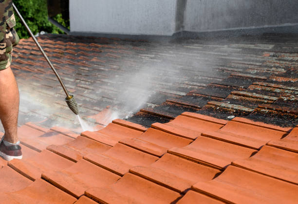 Best Pressure Washing Company Near Me  in Spring Grove, MN