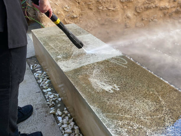 Best Residential Pressure Washing Services  in Spring Grove, MN