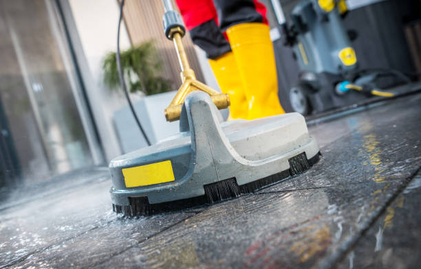 Best Power Washing Near Me  in Spring Grove, MN