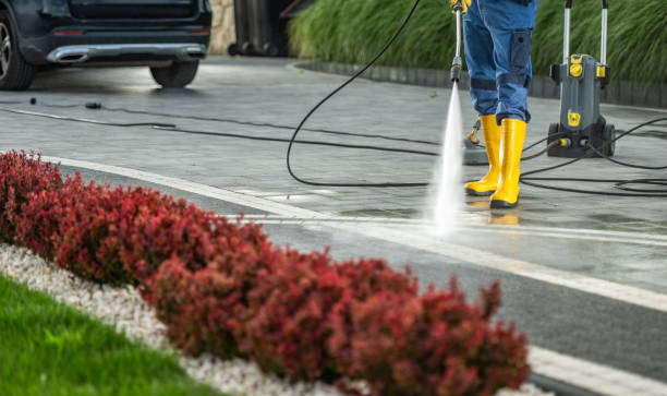 Best Roof Power Washing Services  in Spring Grove, MN