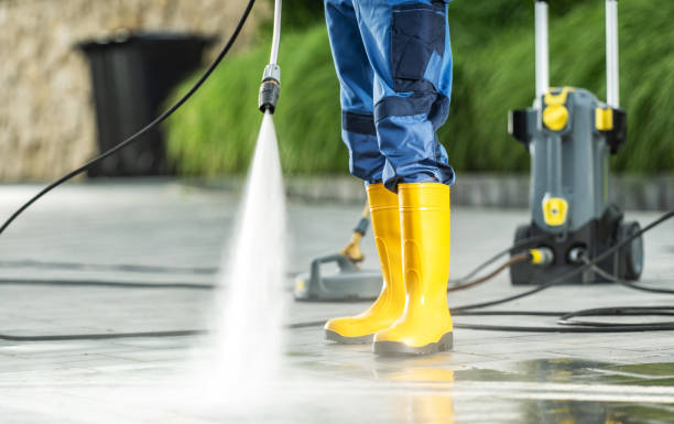 Best Pressure Washing Company Near Me  in Spring Grove, MN