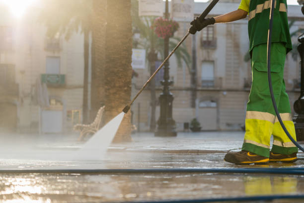 Best Pressure Washing Contractors  in Spring Grove, MN