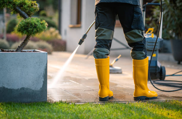Best House Pressure Washing  in Spring Grove, MN